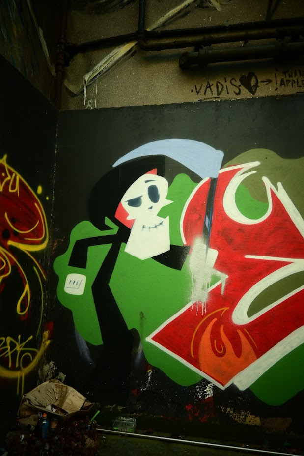 Somorjai Karola beszámolója Dublinból